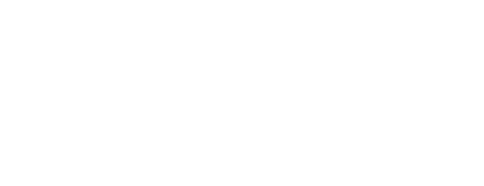 CollisionCourse logo in witte kleuren