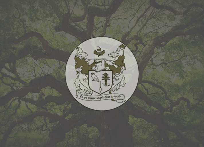 Bijzondere boomwerken project tegel.