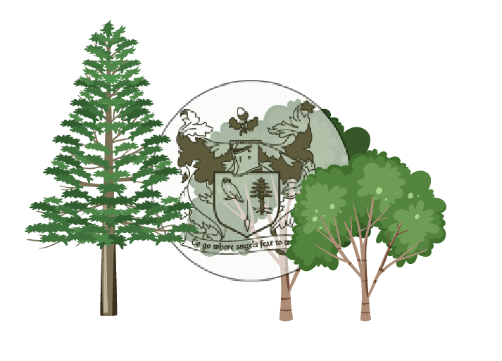 Bijzondere Boomwerken logo tussen bomen.